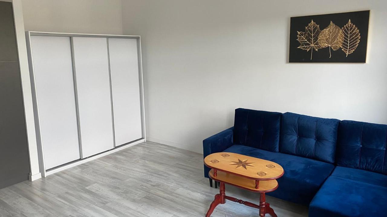 Cozy Loft Apartment Bromberg